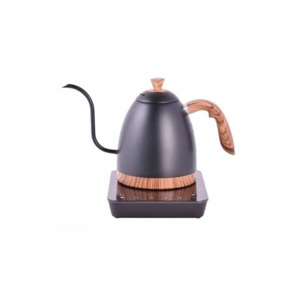 Electric Gooseneck Kettle